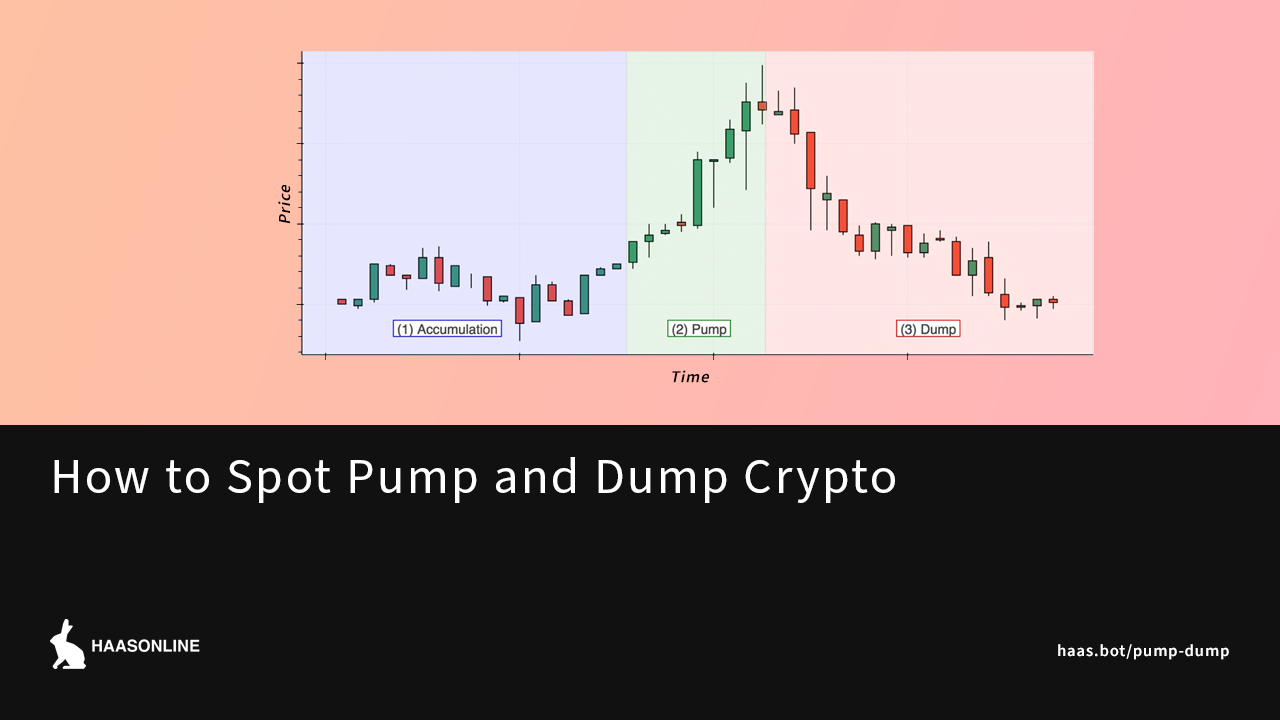 How to Spot Pump and Dump Crypto