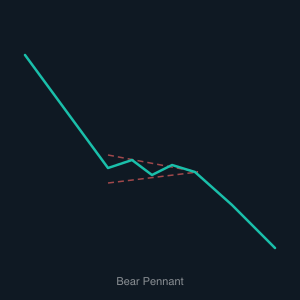 Bear Pennant